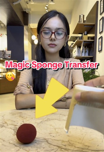 Magic Sponge Transfer Techniques for Effective Clean