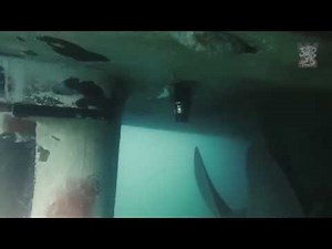 Northern Coasts 2014 - Maritime EOD task group in action