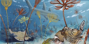 New shark species discovered at Mammoth Cave