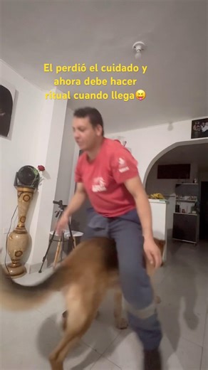 Jajaja el perdió el cuidado #pastoralemán