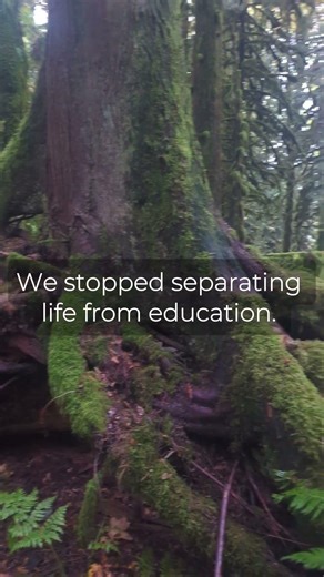 Most people think learning happens at desks, but it also happens in forests.