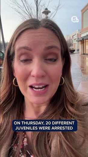 Chaos at Summit Mall was an 'orchestrated event'