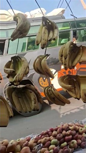 TATA BUS #tata #sierra #trendingshorts