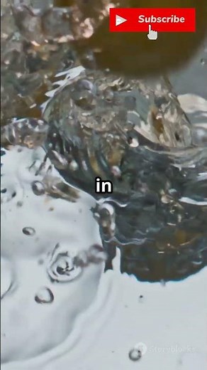 Inkbird ISV-100W Sous Vide: The Smartest Way to Cook? Full Review