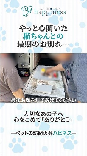 【ペット火葬】やっと心開いた猫ちゃんとの最期のお別れ...🌈