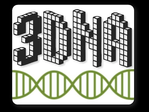 3DNA Demo Video Version 3.0