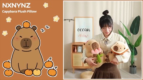 12 Inch Cute Capybara Plush Kawaii Soft Capybara Plush Doll Pillow with Bread Capybara Stuffed Aniamls Toys for Girls Kids Adults Birthdays Valentines Gift (Capybara Plush for Kids)