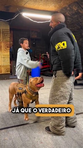 O que acontece quando um cão militar vê uma ameaça? #shorts