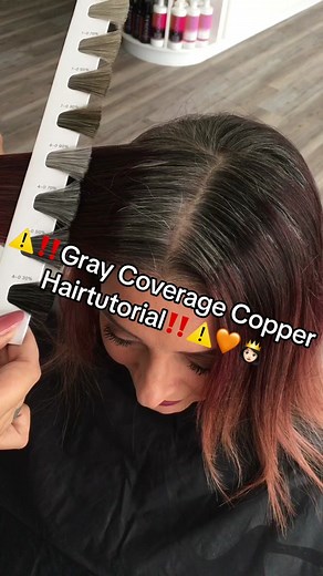 Gray Coverage Copper Hair Transformation Tutorial