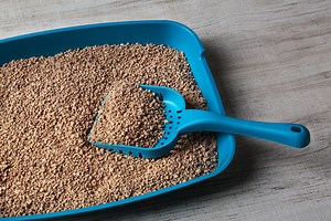 Researchers Find Way To Remove Methane Emissions With Zeolites