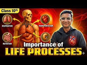 Life Processes Explained | Importance of Life Processes | Class 10 Biology ⁨@Gradebooster⁩