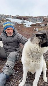 411K views · 4K reactions | Après avoir donné naissance à ses 6 chiots il y a 5 jours, Issy profite d’une petite pause en plein air. La voir courir et retrouver son énergie est un vrai bonheur 凉 On attend avec impatience de voir les petits explorer le monde à leur tour  | Mike Horn | Facebook
