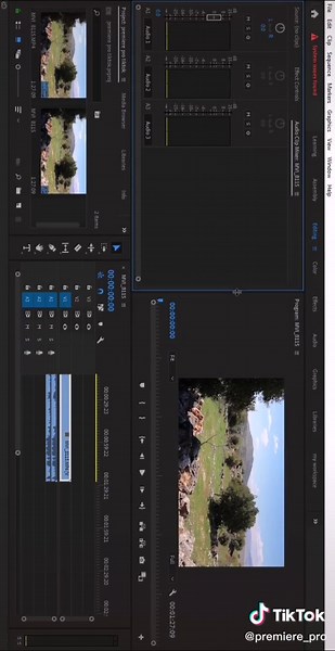 Optimiza Premiere Pro para un Rendimiento Más Rápido