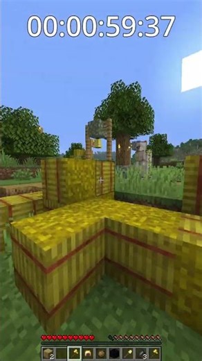 Speedrunning a random item #minecraft