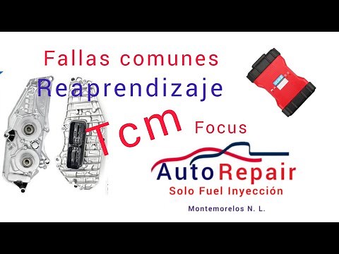 No Reverse and Shift Faults. Ford Focus Codes P087A and P287A Relearn.