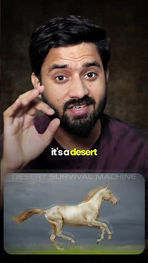 A horse expensive than a supercar? #akhalteke #horse #supercars
