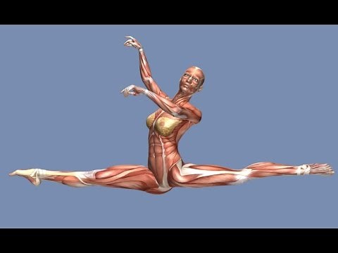 How to Grand Jete Muscle Anatomy Training Program EasyFlexibility