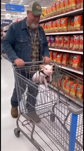 Rojas Anita on Reels