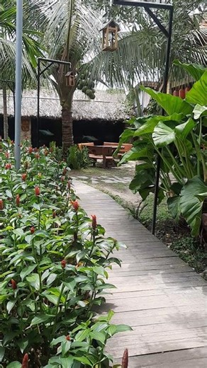 Tan Co Memorial Footprints #shorts #tanco #cailuong