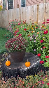 My Happy #Flowers!!! | Amanda Leister