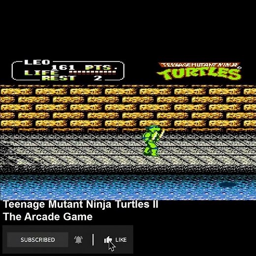 Teenage Mutant Ninja Turtles Games On NES