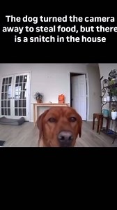 9.5K views · 214 reactions | Red Grant on Reels | Facebook