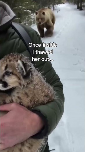 Bear did everything he can to help!😭❤️ #wholesome #animals