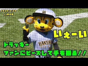 トラッキー ファンにピースして手を振る！！ 2025/6/28 vs阪神