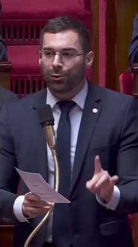 Ignoble LFI demoli par Julien Odoul