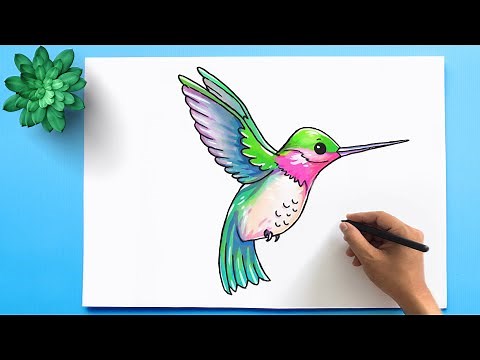 Hummingbird Drawing Easy | How to Draw a Hummingbird
