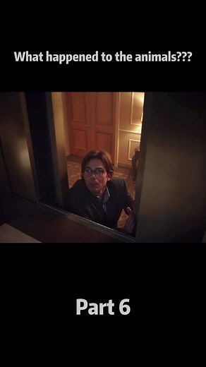 Part6: How will the animals proceed to attack humans next? It's so scary!#zoo #movieclips #thriller #zootvshow #terrifying #horror