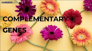 Complementary genes: Definition, Meaning Types, Examples, Causes, Explanation