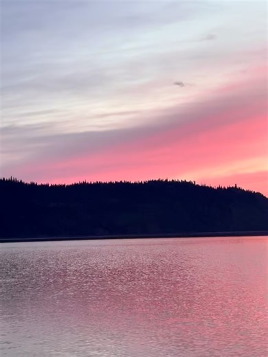 43 reactions | Visit Homer Alaska on Reels | Facebook