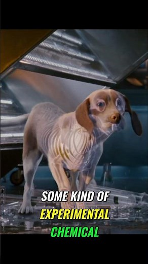 Does anyone else remember the movie UNDERDOG? #moviereview #superhero