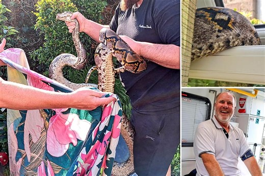 UK grandfather attacked by 11-foot-long python, wrestles with reptile after it slithered into home