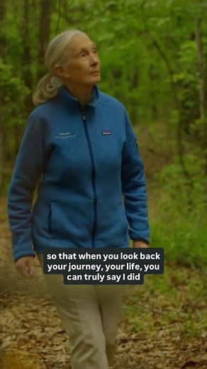 893K views · 62K reactions | “I did make a difference.” 懶 Dr. Jane...