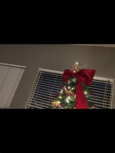 #pups #stuff #nippy #