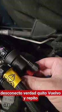 How to Diagnose an Evap Purge Valve (Chevrolet, Ford, and Other Brands)