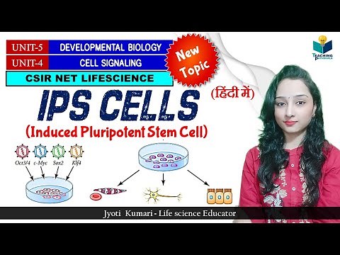 Induced Pluripotent Stem Cell (IPS Cell) || Development Biology || Cell signaling ||CSIR NET