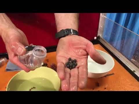 Cleaning The Super Soft Shower Mineral Shower Head