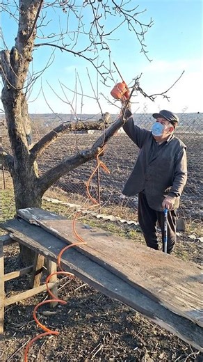 Orchard Care in Spring | Tree Spraying for Better Harvest Results #homestead #garden #farmwork #wood