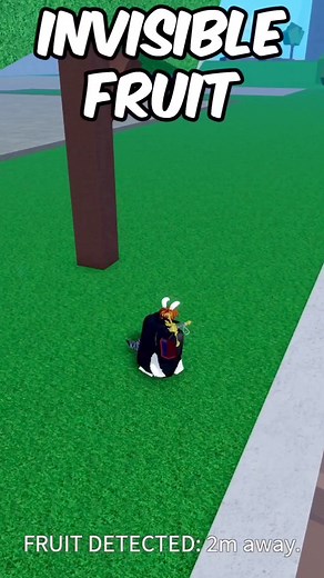 167K views · 1.4K reactions | Invisible Fruit In Blox Fruits #invisiblefruit #bloxfruits #Roblox #kids #playtime #gameday #reelsfypシ゚ #reelsfbシ #reelsvideo #reelsviralシ #reelschallenge #reelsinsta #reelsinstagram #reelsfb #reelsofinstagram #reelsfbviral | Bionicbloxguy | Facebook