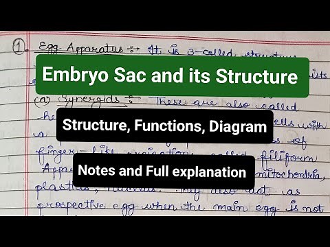 Embryo Sac and Its Structure | Organization | Functions | Diagram | Female gametophyte #notes #yt