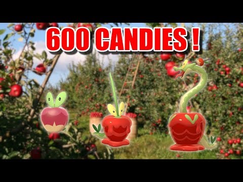 THIS NEW EVOLUTION IS INSANE! | Harvest Festival Event Info & Breakdown | Pokemon Go |