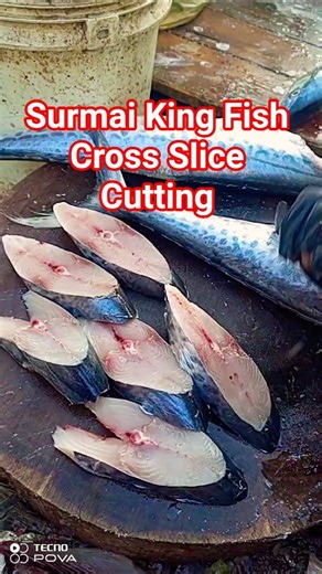 Surmai King Fish Cross Slice Cutting 🐟 #SurmaiFish #KingFish #FishSlice #SeafoodShorts #FishMarket