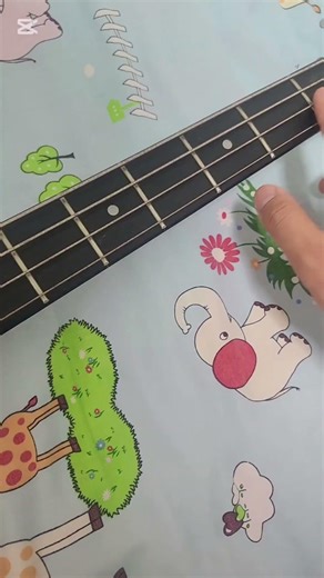 More info about my bass guitar