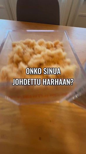 Puukuitueriste ja selluvilla on kaksi eri asiaa. #puhallusvilla #rakentaminen