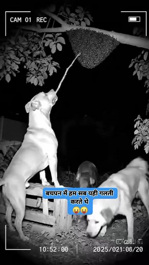 2.7M views · 10K reactions | #funnyreels #funny #funnymoments | Sushil Sahu Gs | Facebook