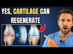 The End of Osteoarthritis? Scientists Discover How to Regenerate Cartilage
