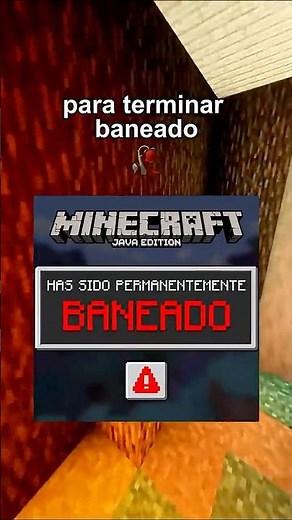 The Most Absurd Minecraft Ban 🐷